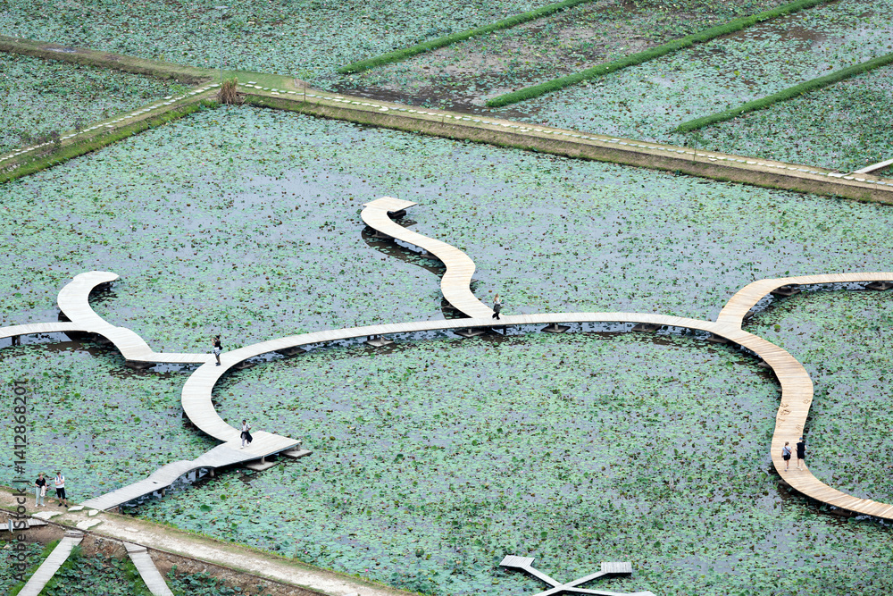 A scenic aerial view of a lotus field in Ninh Binh, Vietnam, featuring a unique wooden walkway shaped like a cartoon rabbit, blending art with nature in a peaceful rural landscape.