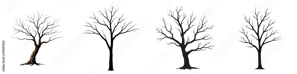 Set of Bare Tree Branch Silhouettes - Isolated Illustrations Set of Bare Tree Branch Silhouettes - Isolated Illustrations