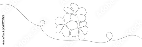 One continuous line drawing of Plumeria flower. Frangipani blossom with petals for floral tattoo in simple linear style. Plant pattern for wedding in Editable stroke. vector illustration. EPS 10 .  