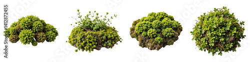 Set of Green Grass Clump Illustrations - Nature Elements