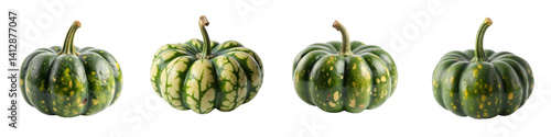 Collection of Green Ribbed Winter Squash (Pumpkins or Kabocha) Isolated