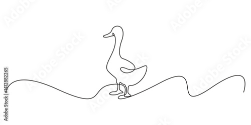 Duck continuous line art isolated on white background vector illustration