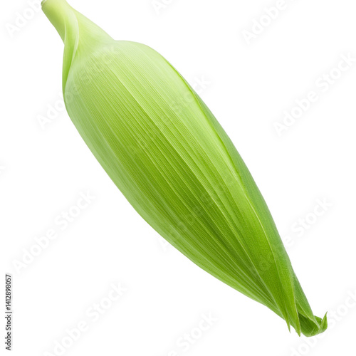 Vibrant green corn husk leaf, isolated on a transparent background, perfect for food related designs
