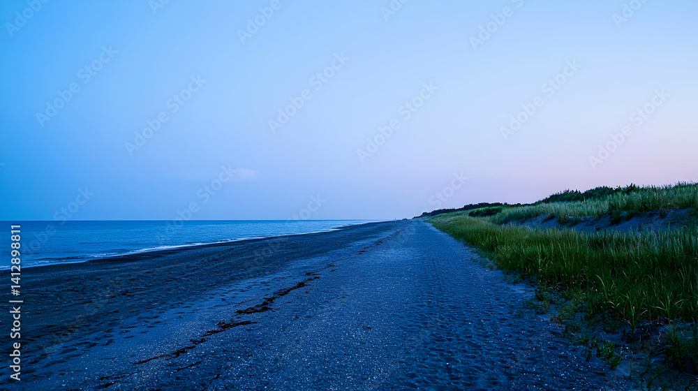 Evening Beach Landscape With Coastal Vegetation