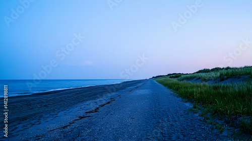 Obraz na płótnie Evening Beach Landscape With Coastal Vegetation w salonie