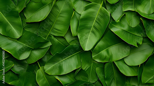 Obraz na płótnie Closeup Lush Green Leaves Pattern w salonie