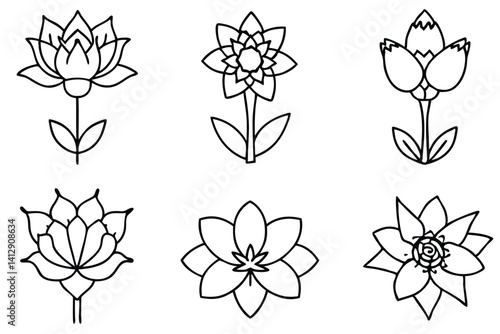 Colorful Flower Farm Elements for Botanical Design