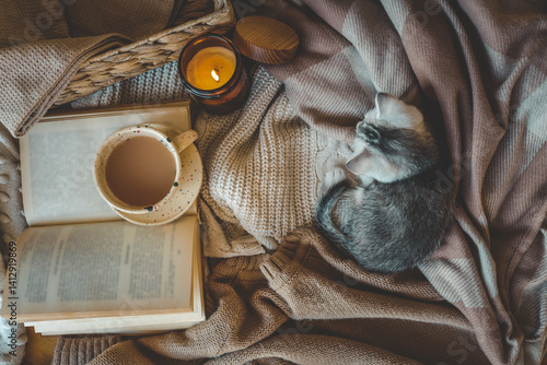 Flat lay with a cozy setup featuring a small kitten resting on soft knit blankets, an open book, a cup of cocoa or coffee, and a lit candle — warm, peaceful, and homey atmosphere