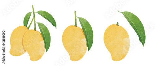 Mango Design elements. watercolour style vector illustration.