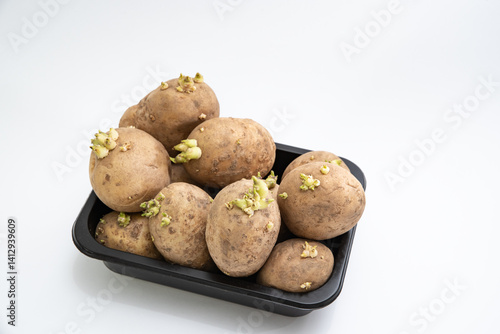 Wallpaper Mural Potato seeds on white background. Farming and gardening in spring. Torontodigital.ca