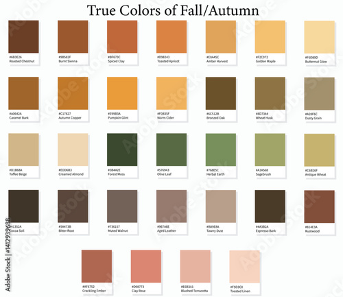 Colour Swatches 32 True Colors of Fall or Autumn - 3d Light Soft, Muted, Pastel Tones - with HEX Codes and Names, Color Palette, Scheme, Chart and Combinations