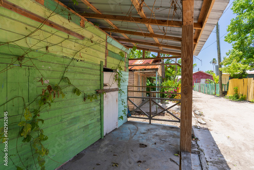 Obraz na płótnie Typical colorful house of the Saona Island,humble houses of native people village,Mano Juan fishing village,Dominican Republic. w salonie