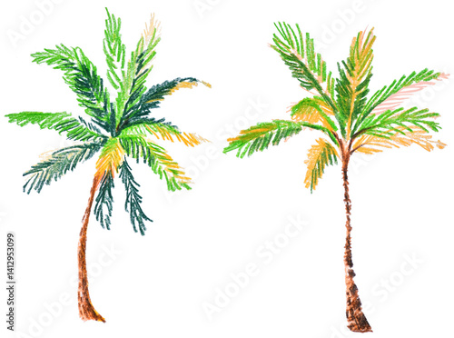 Hand-drawn colored pencils style tropical palm trees on white background