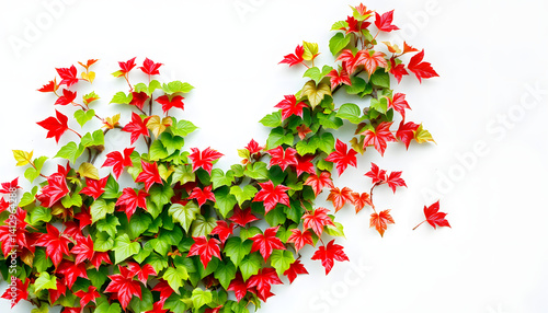 Green creeper, vine or ivy and red leaves wall for background in blue vintage filter tone. Natural wallpaper or Nature pattern. Freshness season, watercolor. with white shades