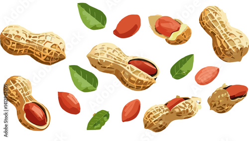 Obraz na płótnie set of peanuts falling vector design w salonie