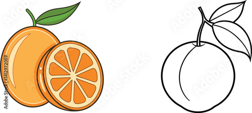 Cartoon Orange Fruit Illustration With Half Slice And Black And White Version
