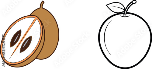 Sapodilla Fruit With Seed Detailed Illustration And Apple Vector Graphic Outline