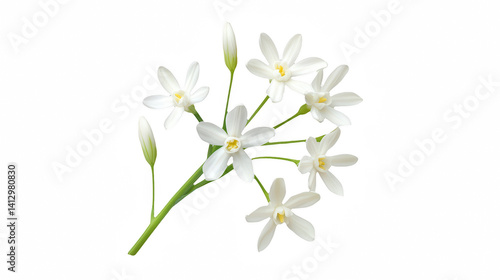 a branch with white flowers on a transparent background, PNG image, PNG file, Generative art.