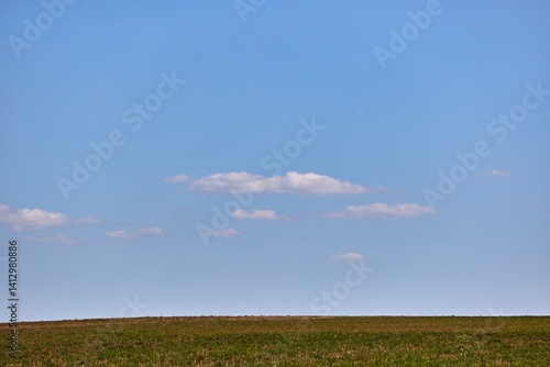 Obraz na płótnie Blue sky over summer field in the countryside w salonie