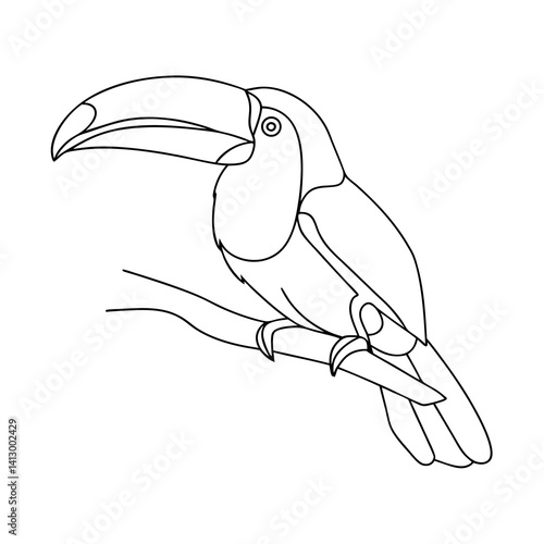 toucan linear drawing on transparent background 
