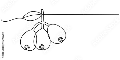 Vector illustration of Two quinces one cut in half showing seeds and core black and white drawing For children to learn to color according to the picture.                                              