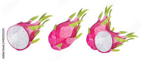 Pitaya, Dragon fruit Design elements. watercolour style vector illustration.