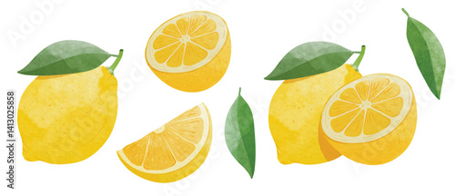Lemon fruit Design elements. watercolour style vector illustration