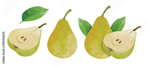 Pear fruit Design elements. watercolour style vector illustration.