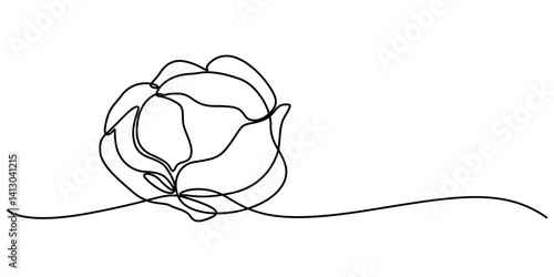 cabbage continuous one line drawing, Hand-drawn cabbage continuous outline vector. Cabbage one line art drawing, Chinese cabbage in continuous line art drawing style, Single continuous line drawing. 