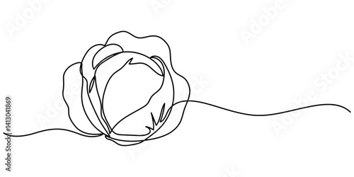 cabbage continuous one line drawing, Hand-drawn cabbage continuous outline vector. Cabbage one line art drawing, Chinese cabbage in continuous line art drawing style, Single continuous line drawing. 