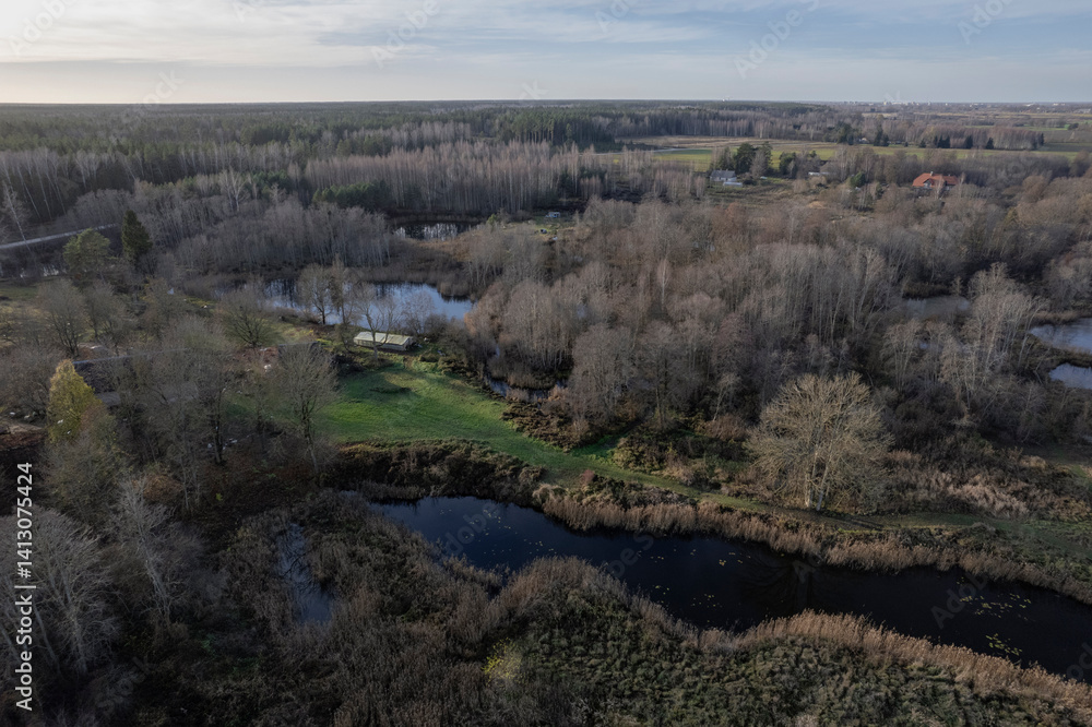 Obraz premium aerial view of forest in early spring and some water ponds in forest