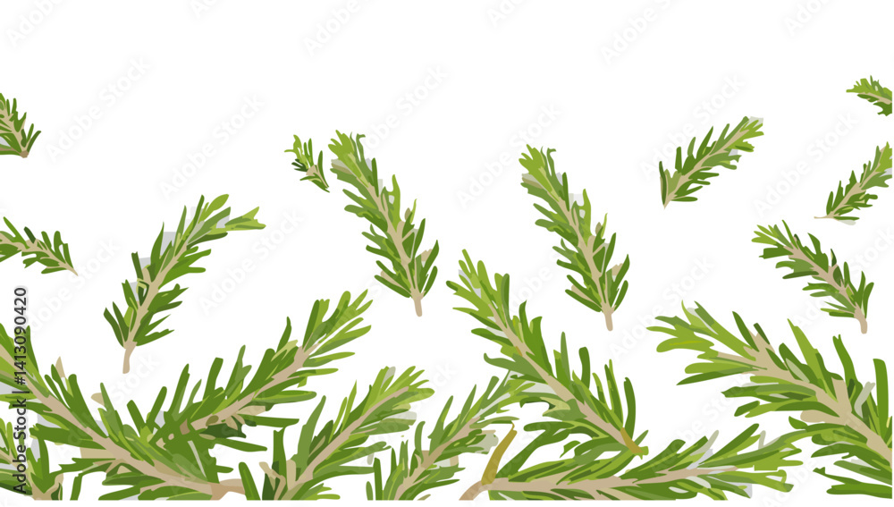 set of rosemary falling herb vector spice design