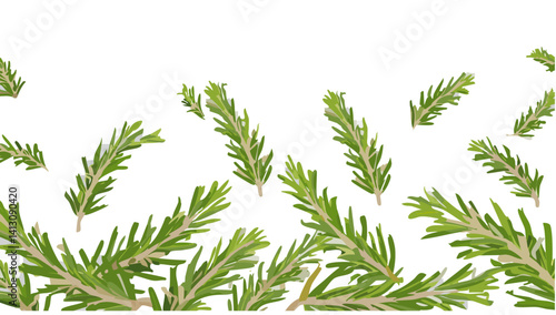 Obraz na płótnie set of rosemary falling herb vector spice design w salonie