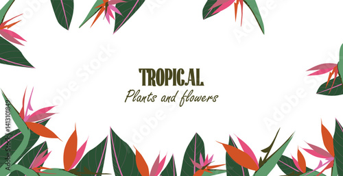 Tropical template with Strelitzia and jungle leaves composition around the perimeter. Botanical frame concept for web banners, event invites, seasonal campaigns. Modern vector illustration