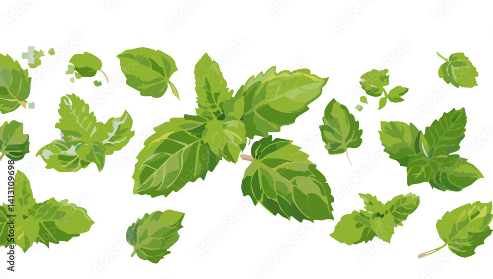 fresh green peppermint falling vector design