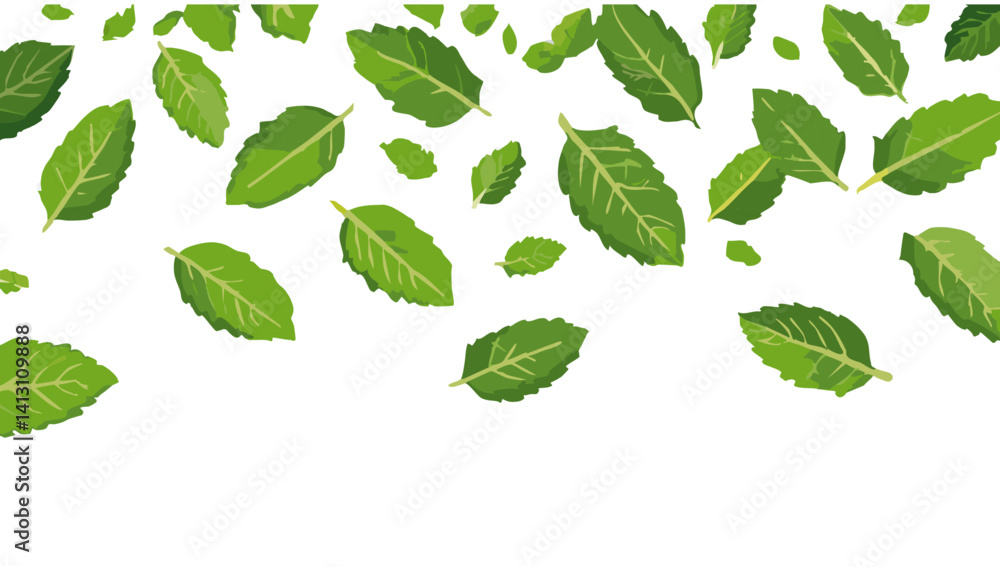 fresh green peppermint falling vector design