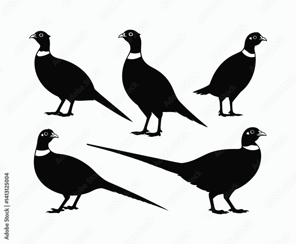 Ring Necked Pheasant Silhouette EPS Vector Template Ring Necked Pheasant Silhouette EPS Vector Template