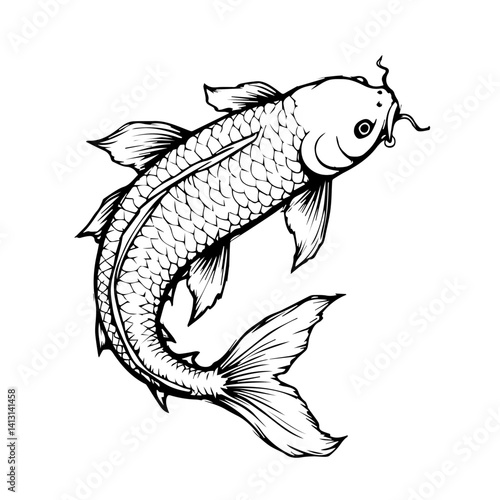Black and White Koi Fish Illustration Swimming in Detail  