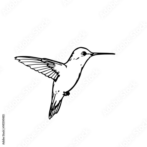 Hummingbird flying in a minimalist black and white illustration  