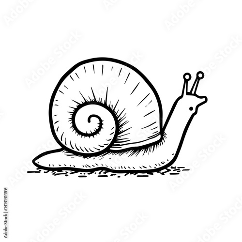 Snail illustration in black and white, depicting nature and slow pace  