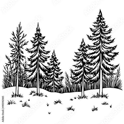 Vintage-style black and white forest illustration with pine trees  