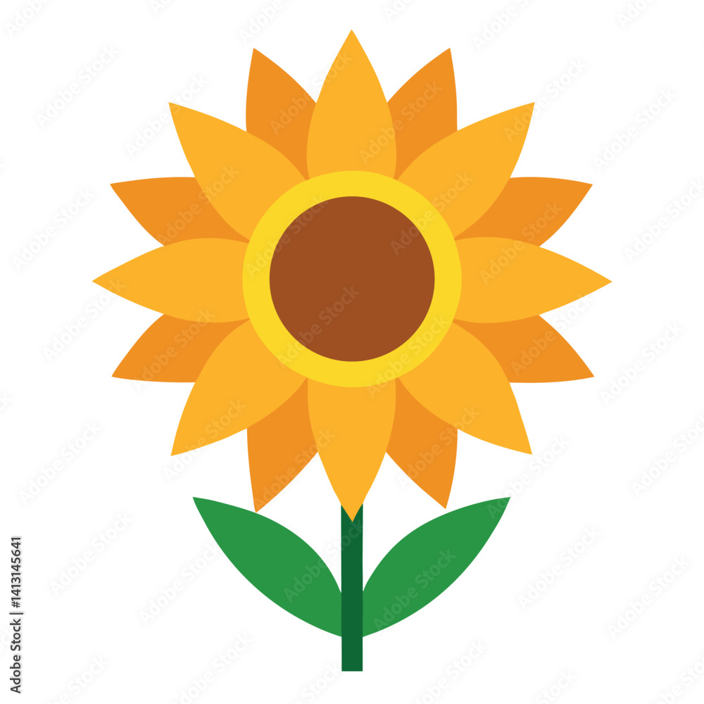 sunflower isolated on white sunflower isolated on white