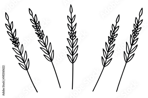 lavender sprig design