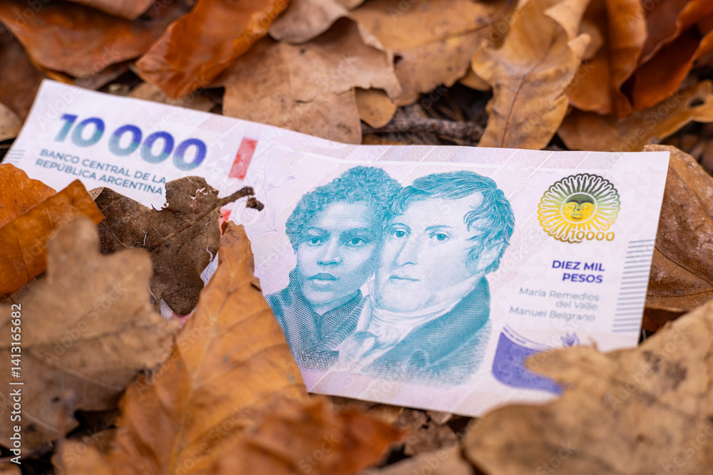 Argentina money. 10,000 peso banknote lying among fallen withered leaves. Business finance concept. Argentina economy, Argentine peso strength.