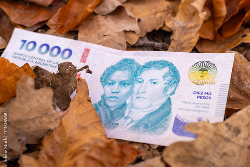 Obraz na płótnie Argentina money. 10,000 peso banknote lying among fallen withered leaves. Business finance concept. Argentina economy, Argentine peso strength. w salonie