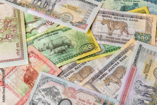 Obraz na płótnie Nepal money. Nepalese rupees. financial background. scattered banknotes. Business economic concept. Animals symbolizing Nepal w salonie