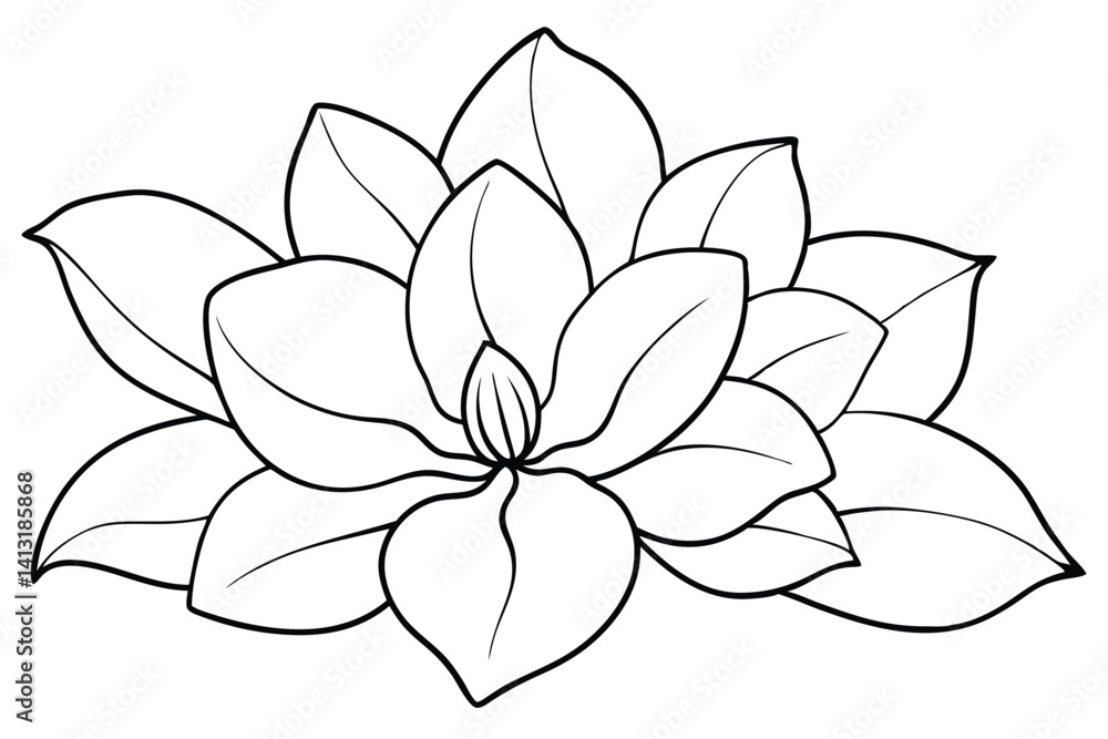 Fototapeta premium magnolia flower line drawing