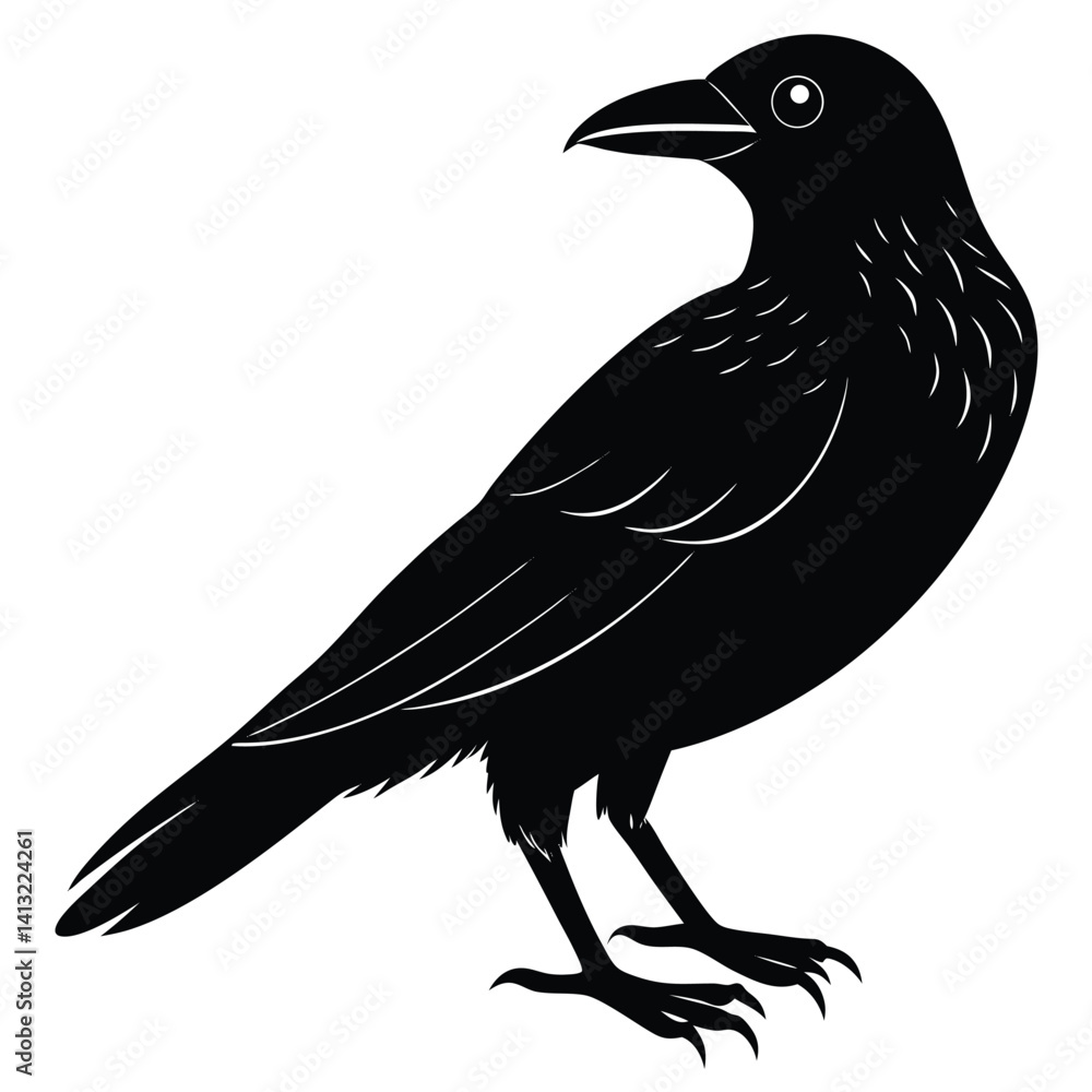 Fototapeta premium Black crow and raven silhouettes, wildlife vector illustration on a branch