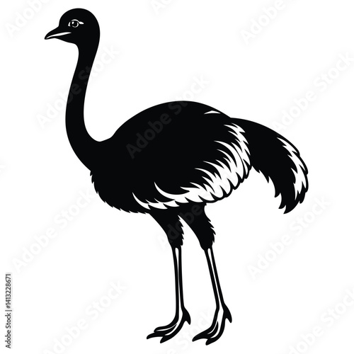 Flightless ostrich vector illustration animal isolated on white