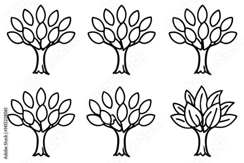 Olive Tree Illustration Collection